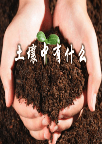 《土壤中有什么》地球表面及其变化PPT课件