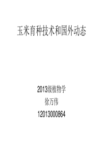 玉米育种技术和国外动态