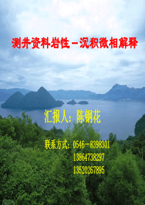 2测井资料岩性-沉积微相解释