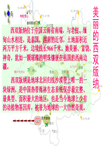 19美丽的西双版纳