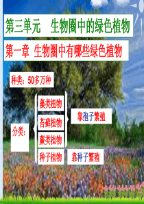 藻类苔藓蕨类植物