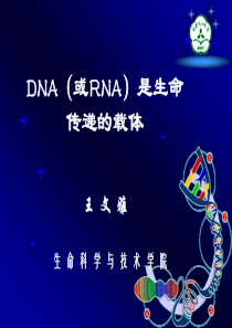 证明DNA是遗传物质的三个经典试验