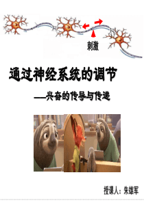兴奋的传导与传递(一轮复习公开课)