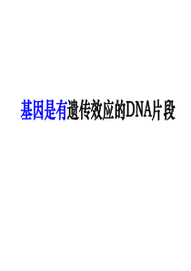基因与遗传信息的关系