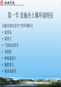 第六章设施土壤环境及调控..