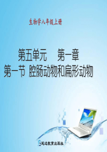 第一节腔肠动物和扁形动物(B案)