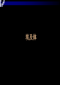 字体-埃及体