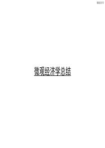 第32讲 微观经济学总结