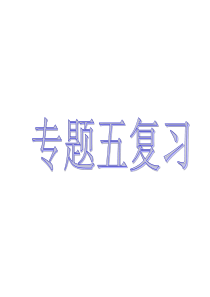 国家与国际组织专题五复习