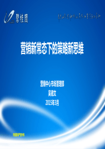 碧桂园-营销新常态下的策略新思维
