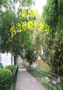 第19章四边形期末复习课件
