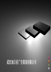 武汉旭日星策划有限公司