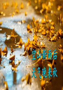 最新优质的人教版部编版三年级上册语文5 铺满金色巴掌的水泥道ppt课件