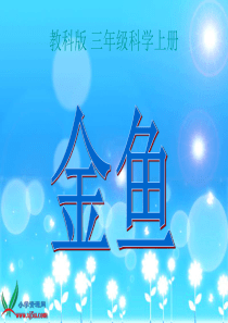 (教科版)三年级科学上册课件_金鱼