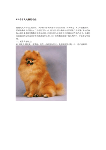 57个常见犬种的功能