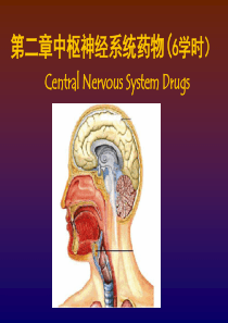 第二章_中枢神经系统用药1