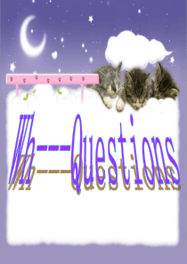 5特殊疑问句(含练习)ppt