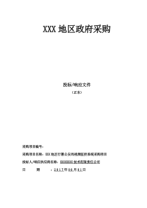 平安城市项目投标文件