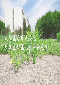 太阳能分布式发电及其在智能电网中的应用