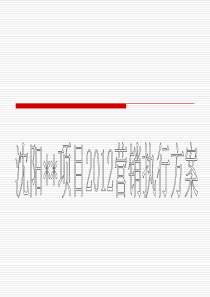 沈阳项目2012营销执行方案