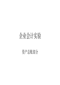 企业会计实验总账