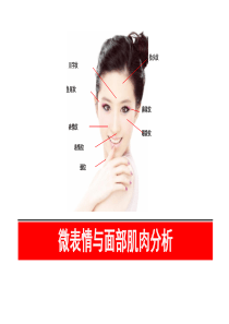 微表情与面部肌肉分析(专业)
