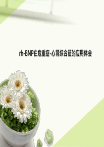 rhbnp在危重症心肾综合征的应用体会