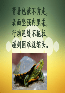 青岛版-科学-一年级下册-4.常见的动物