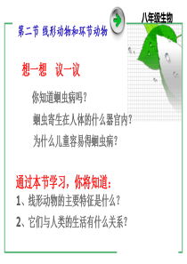线形动物ppt