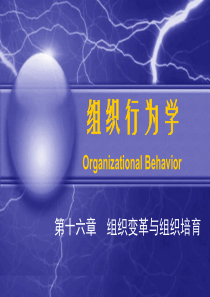 第16章 组织变革与组织培育