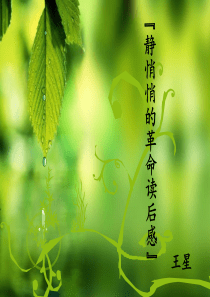 静悄悄的革命读后感