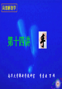 34手的解剖