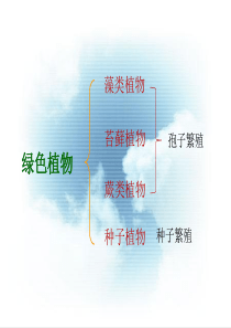 第二节  种子植物
