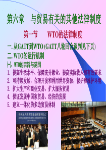 第六章与贸易有关的其他法律制度案例