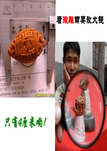 11 核舟记