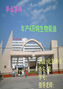年产4万吨生物柴油 毕业答辩