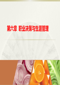 第六章  一、职业决策