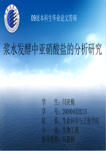 本科毕业论文浆水