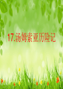 《汤姆索亚历险记》ppt