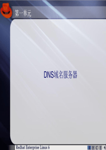 RHEL6 DNS域名服务器