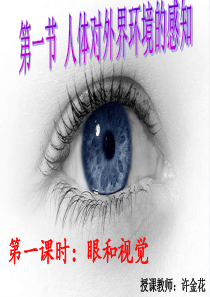 视觉的形成(修改)
