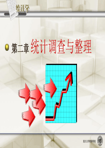 48第2章 统计调查与整理
