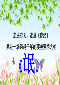 氓  优秀教案