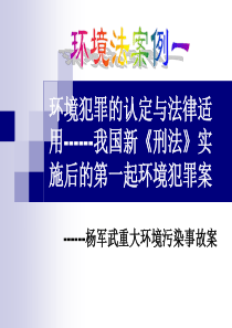 65环境法案例分析