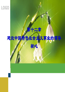 毛概第十二章课件