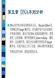 5 DNA序列分析