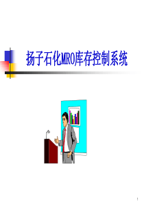 876-扬子石化MRO库存控制系统