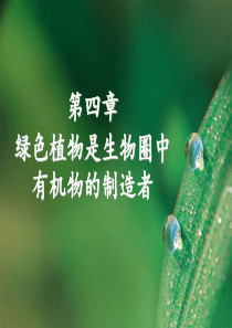 第四章 绿色植物是生物圈中有机物的制造者