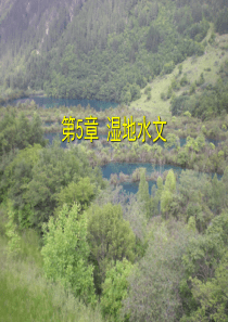 5.湿地水文学◆