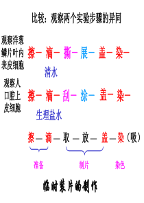 第一节   细胞的生活需要物质和能量